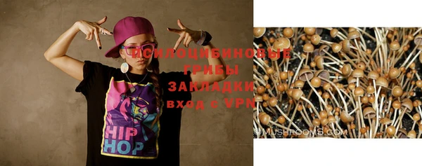 Альфа ПВП Баксан
